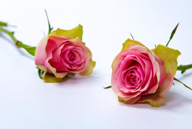 情侣为未来努力的句子文案