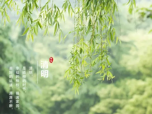 清明节的悲伤文案