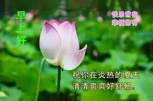 好字的祝福语大全