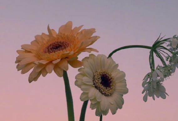 发朋友圈早安语分享