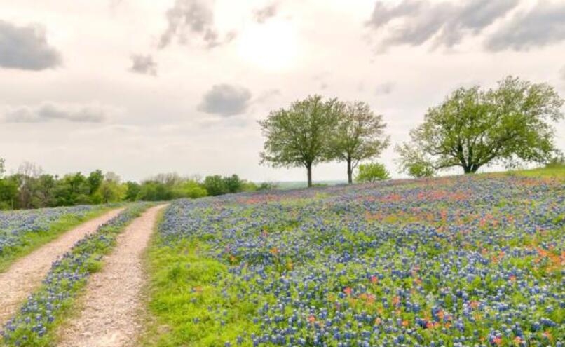 心累励志的句子文案说说心情