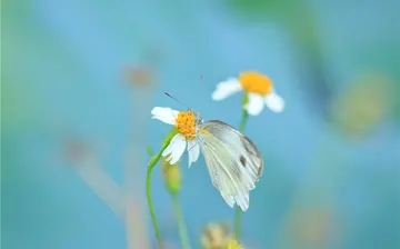 降温的温馨关心语