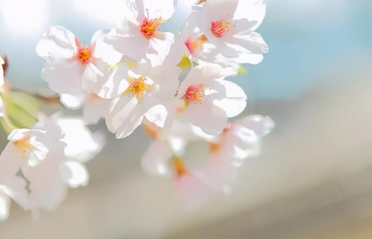 大道理句子文案人生感悟