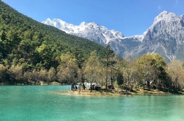 早安现实励志语录文案