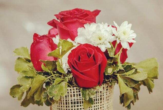 高端社会语录文案