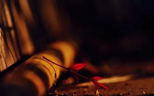 时光安静唯美的句子文案