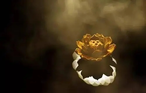 佛法度人的经典句子文案