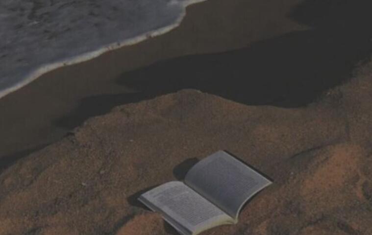 不该对你动了情的说说文案