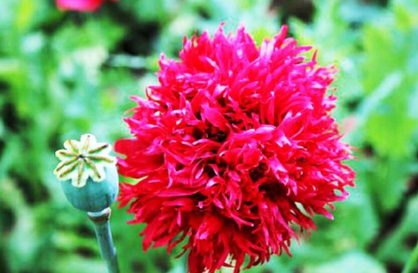 简短现实句子文案的句句人生感悟