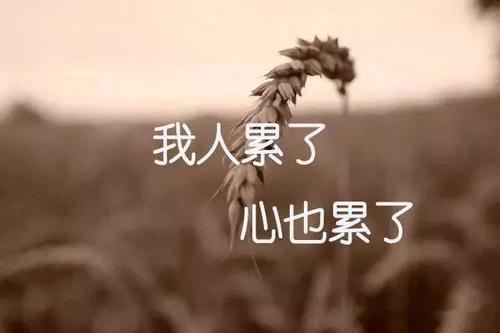 心累的句子文案