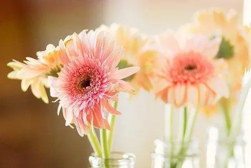 热爱生活的温暖句子文案