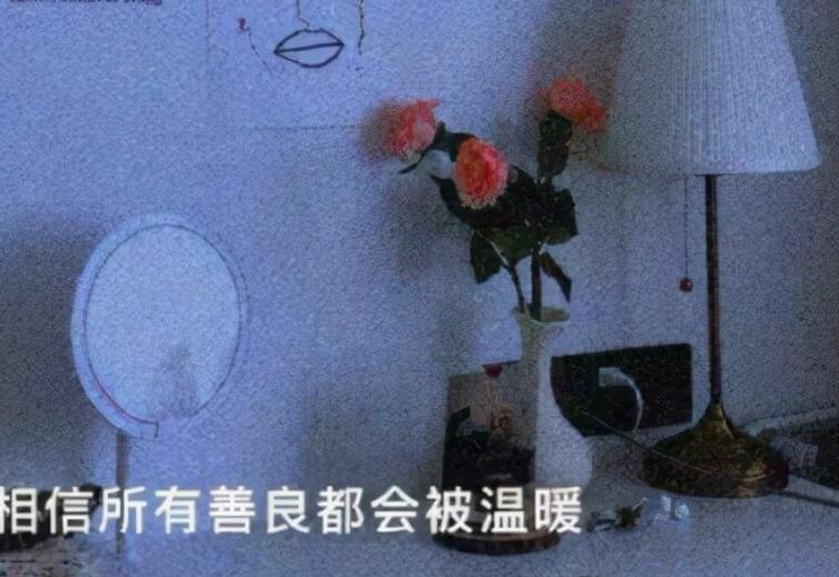 形容社会现实人心太假的句子文案