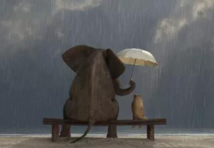 夸人心善的句子文案大全