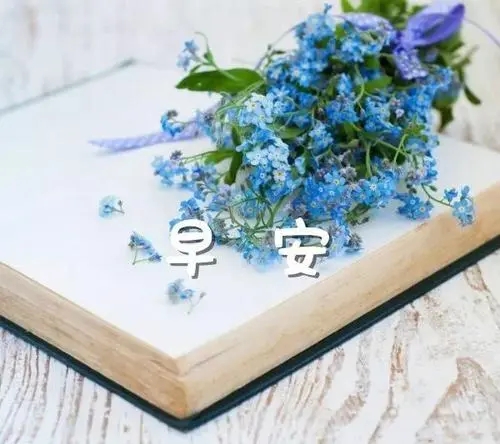 一句话精致早安周末