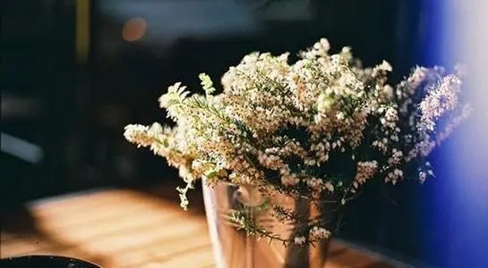 简短一句话经典语录文案