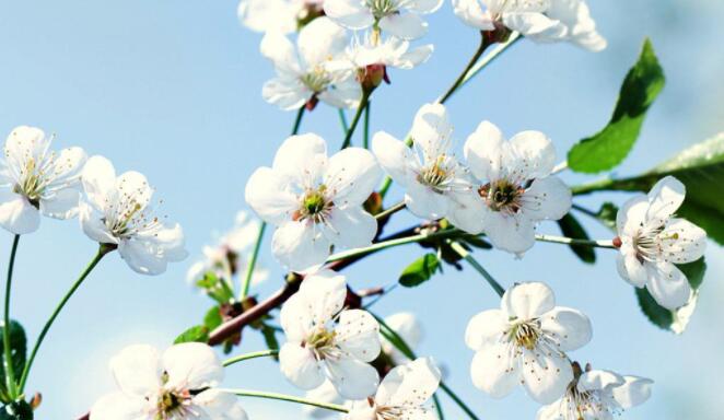 美词佳句摘抄大全高中