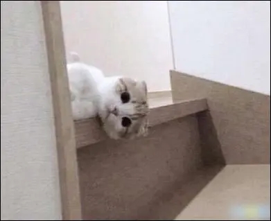 上班无聊发自拍照说说文案