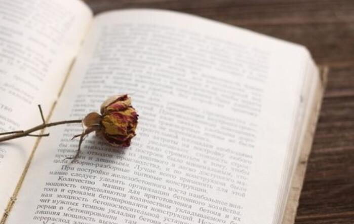 关于后悔的句子文案