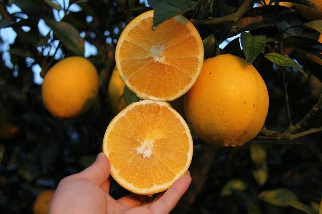 微商代理宣传语句文案