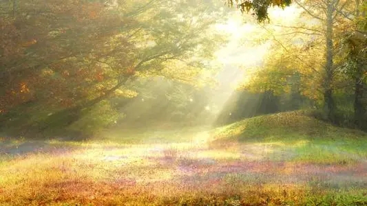 阳光真好的简单句子文案