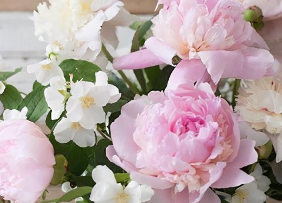 风趣幽默的撩妹句子文案