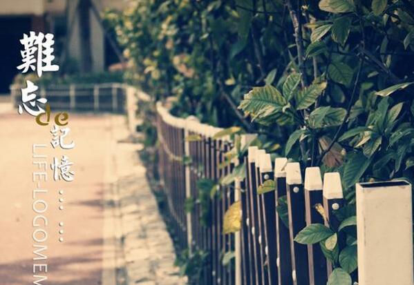 教师心语经典一段话