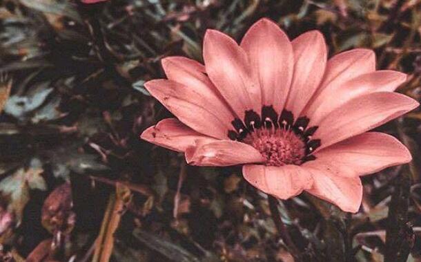 解除闺蜜关系的句子文案