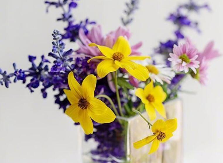 早安语录文案优美