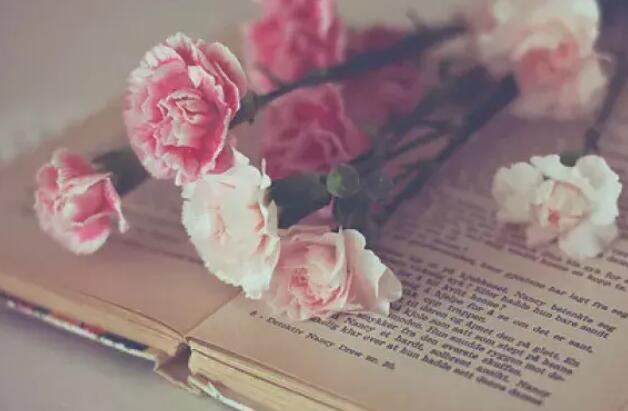 人都败给了现实的句子文案