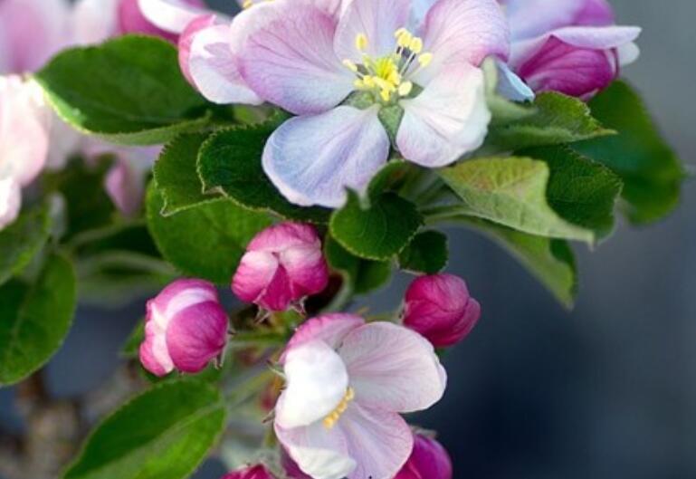 付出汗水收获精简句子文案