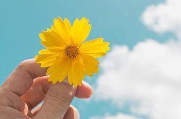 给最好朋友最美的清晨问候