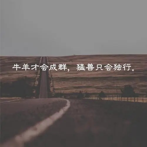 个性签名傲娇短句