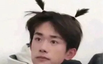 表白爱豆的句子文案