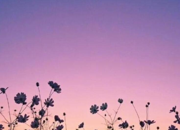 走好人生路的经典名言