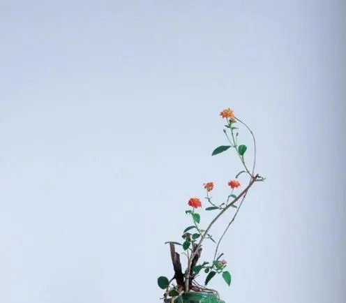 内心被感动的句子文案