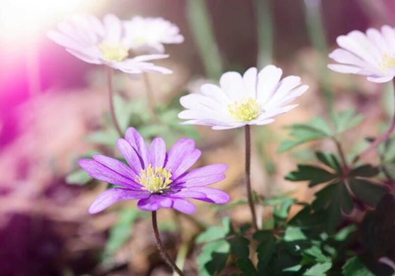 早上好的句子文案短语幽默