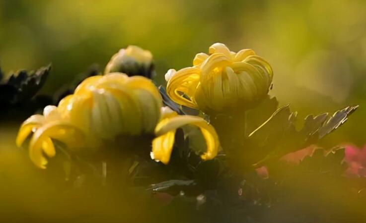 思念亡人最有名的诗词