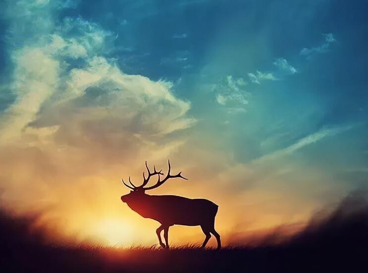 微语录文案精选经典语录文案励志