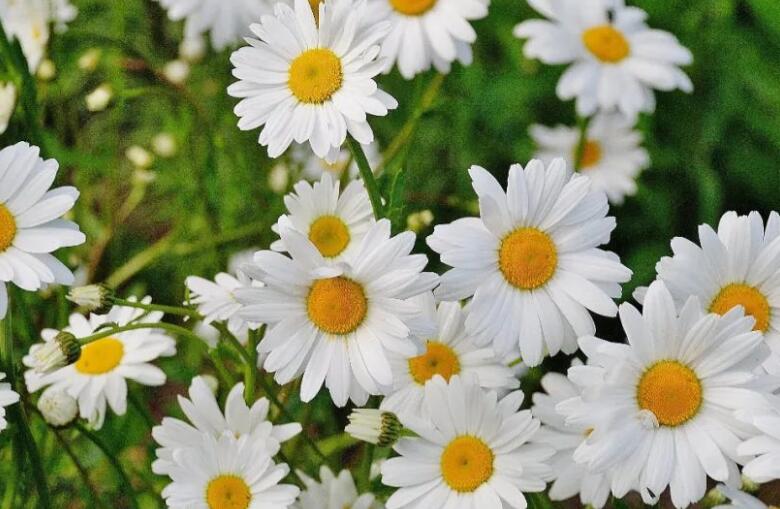 形容相遇是缘分的诗句文案