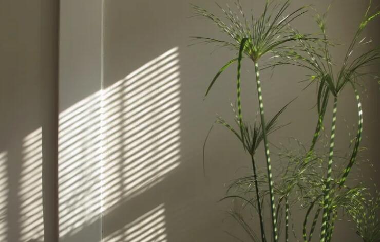 关于追梦人的一段话