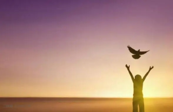 梦想的名言名句文案