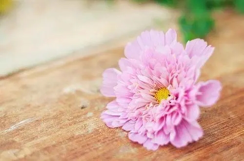 正能量问候语及关心话