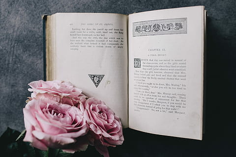 名家情话语录文案