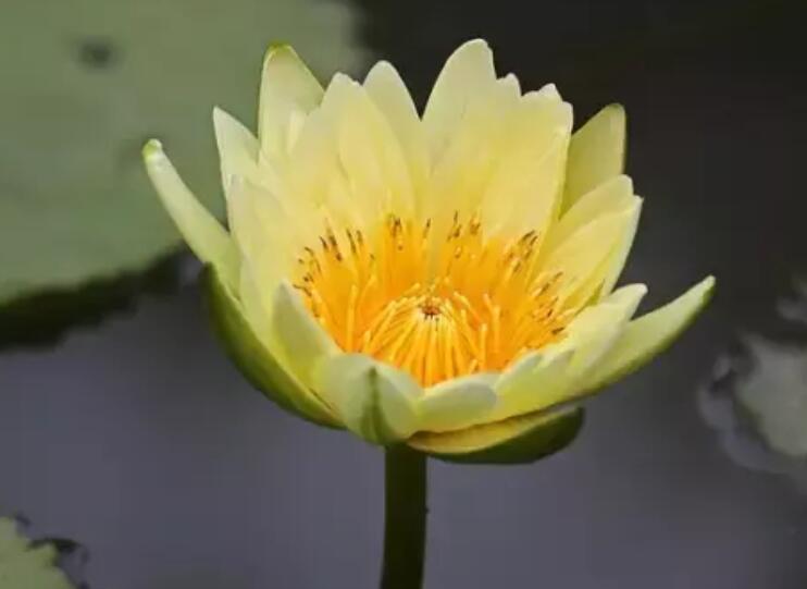 形容三伏天热的诗句文案