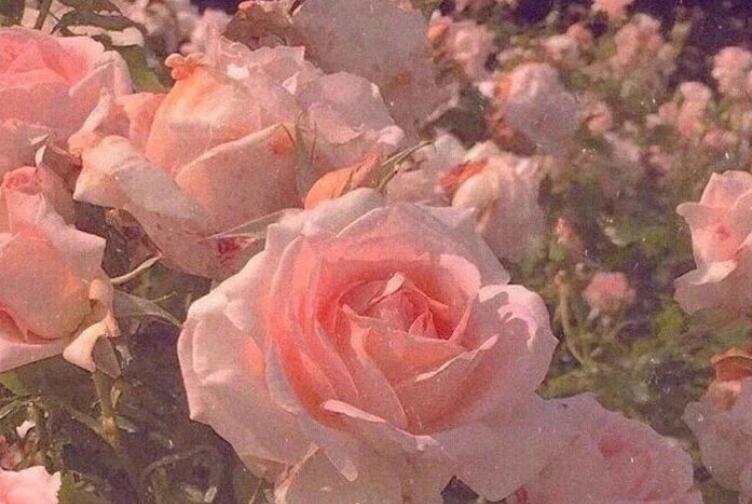 表示我很喜欢你的说说文案