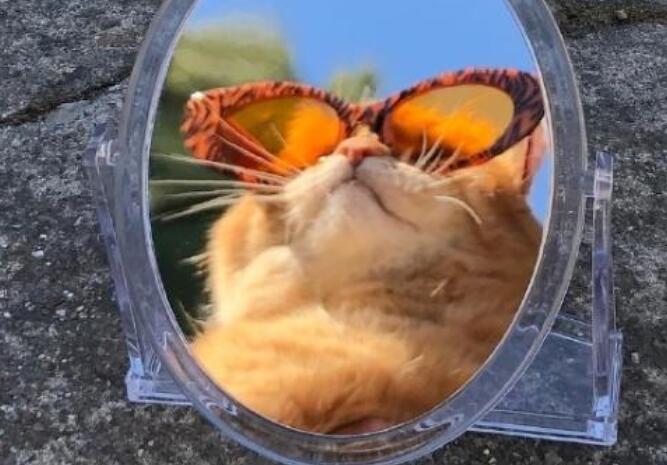 经典深度好句文案