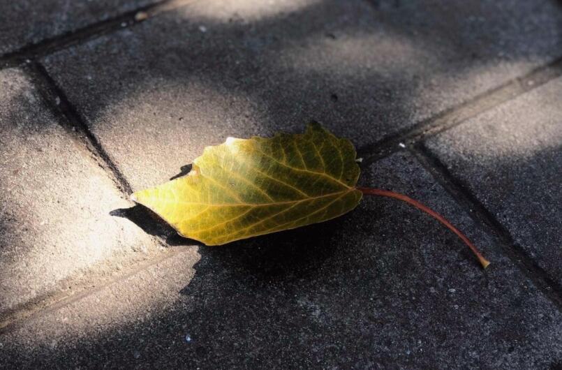 伤心感情哲理句子文案