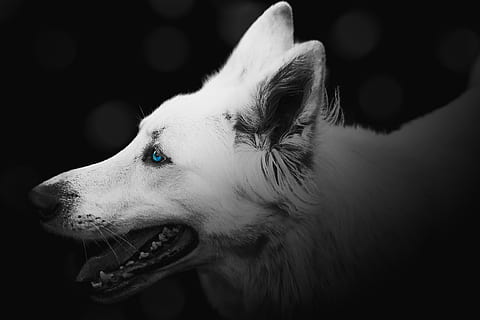 生活霸气说说文案女生超拽高冷