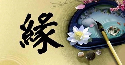 一面之缘的缘分唯美句子文案