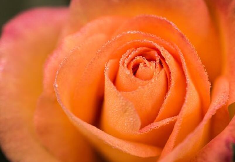 最感悟人心的句子文案